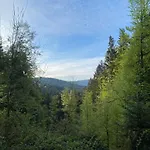 Hexenhaus: Haus Im Wald