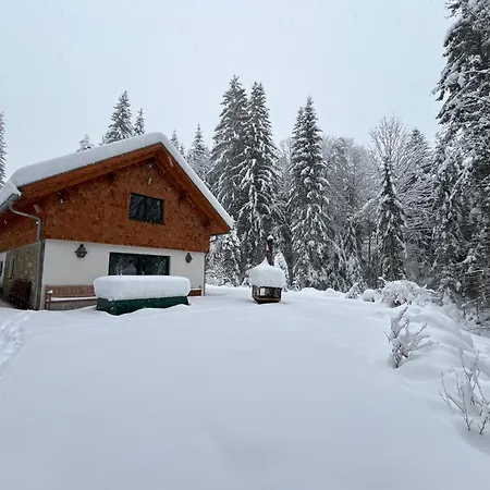 Semesterbostad Hexenhaus: Haus Im Wald Rinchnach
