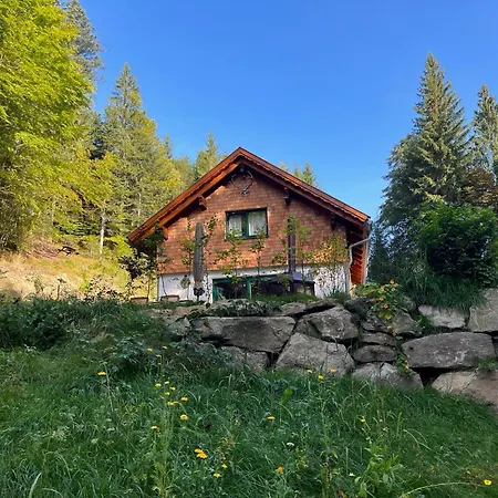 Hexenhaus: Haus Im Wald Nyaraló *