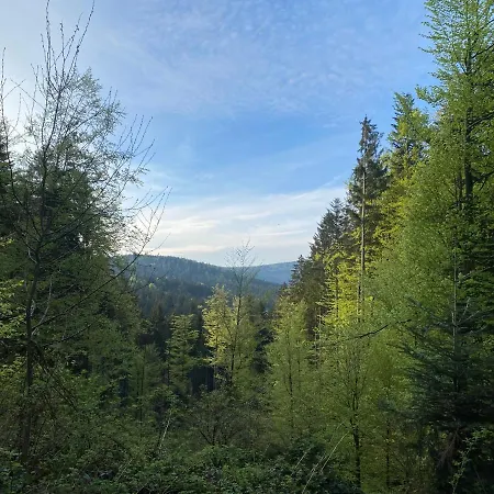 Hexenhaus: Haus Im Wald