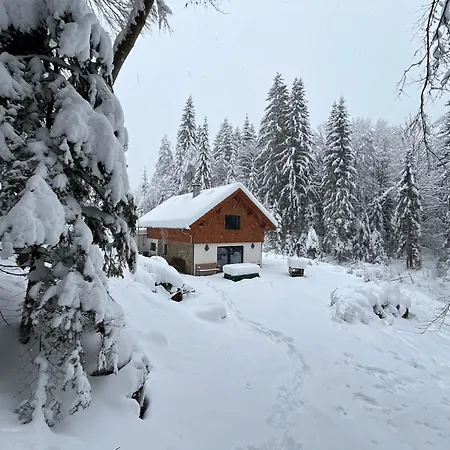 Hexenhaus: Haus Im Wald *