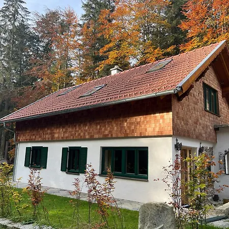 別荘 Hexenhaus: Haus Im Wald